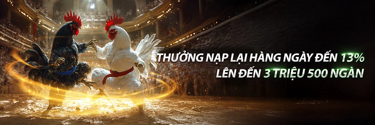 Đá Gà Trực Tuyến Đỉnh Cao tại i9bet141 Win